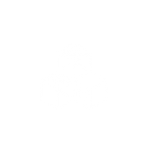 Industria Innovación e Infraestructura